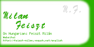 milan feiszt business card